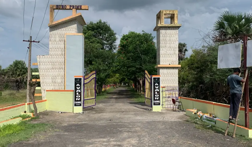 farm-land-for-sale-in-kanchipuram-avalon-farms