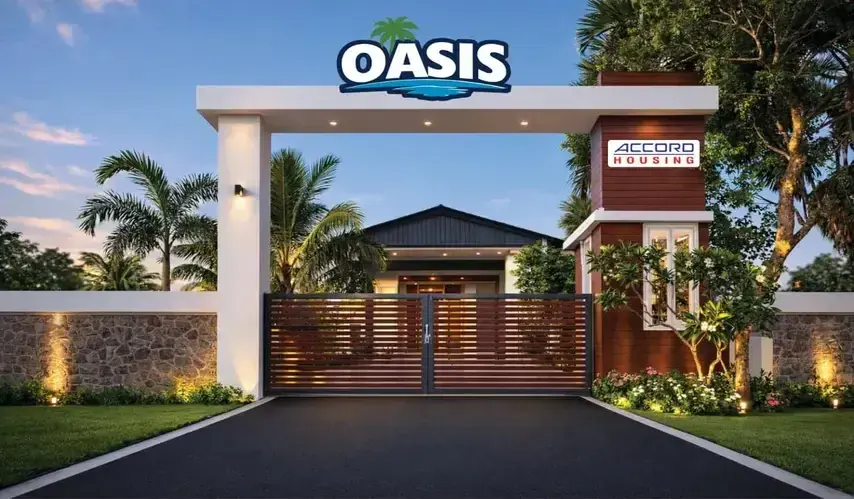 oasis_854x499